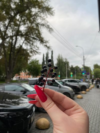 Томская область в августе — фото погоды (2025-08-25)