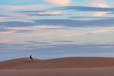 Moroccan Sahara Desert в ноябре — фото погоды (2025-11-10)
