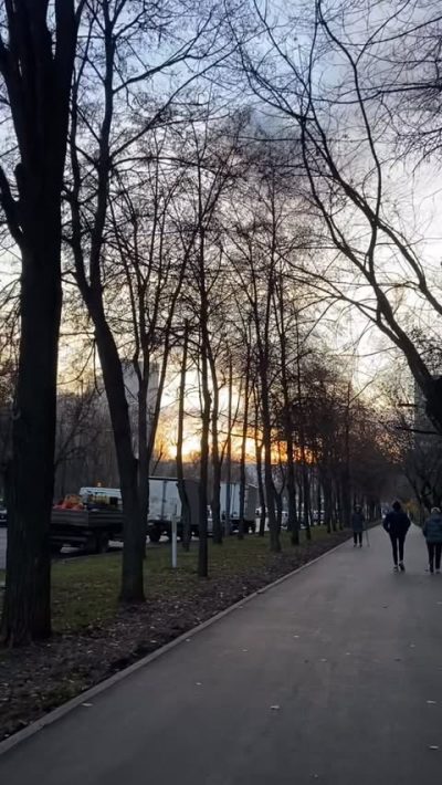 Москва в ноябре — фото погоды (2025-11-03)