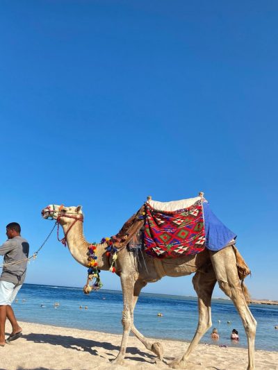 Port Ghalib Beach в июне — фото погоды (2026-06-29)