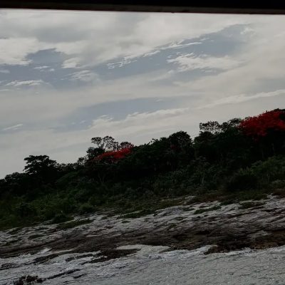 Cozumel Centro, Cozumel в июле — фото погоды (2026-07-12)