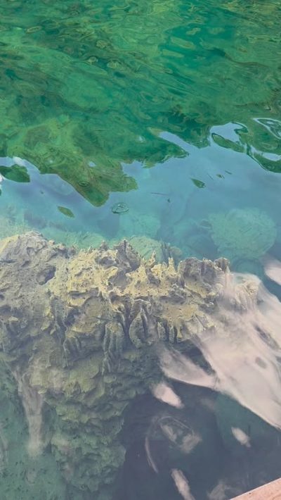 Kayangan Lake, Coron Island в июне — фото погоды (2026-06-18)