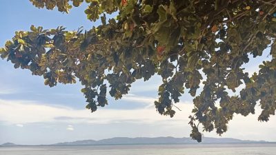 Tiki Beach Koh Phangan в июле — фото погоды (2025-07-31)