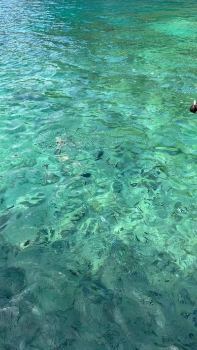 El Nido Miniloc Island Resorts — фото погоды в июле (2025-07-13)