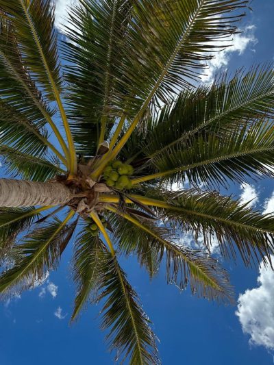 Tulum Playa в июле — фото погоды (2025-07-19)