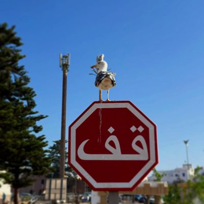 Port d'Essaouira в январе — фото погоды (2026-01-04)