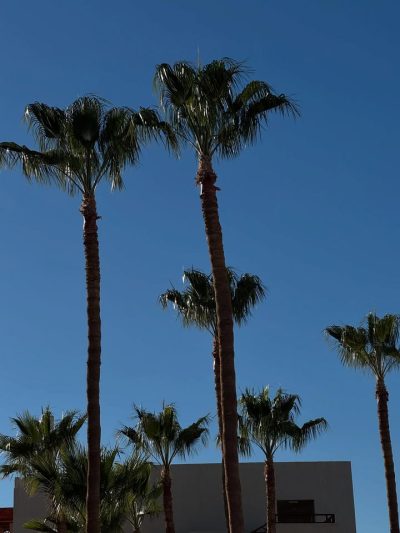 Marriot Beach Side Resort, Na'ama Bay — фото погоды в июне (2025-06-12)