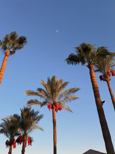 Marriot Beach Side Resort, Na'ama Bay — фото погоды в июле (2026-07-10)