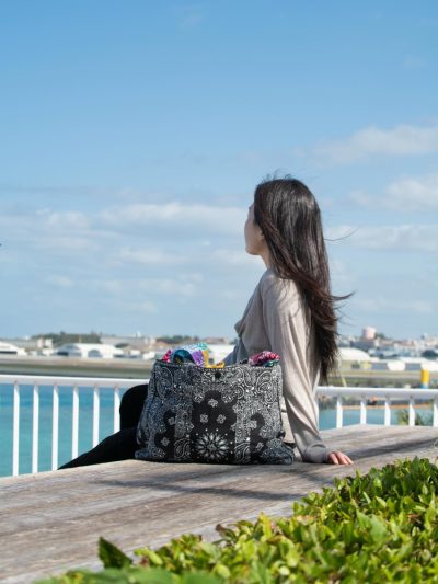 Senagajima Umikaji Terrace в феврале — фото погоды (2026-02-10)