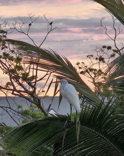 Bahia Principe Explore El Portillo в ноябре — фото погоды (2025-11-18)