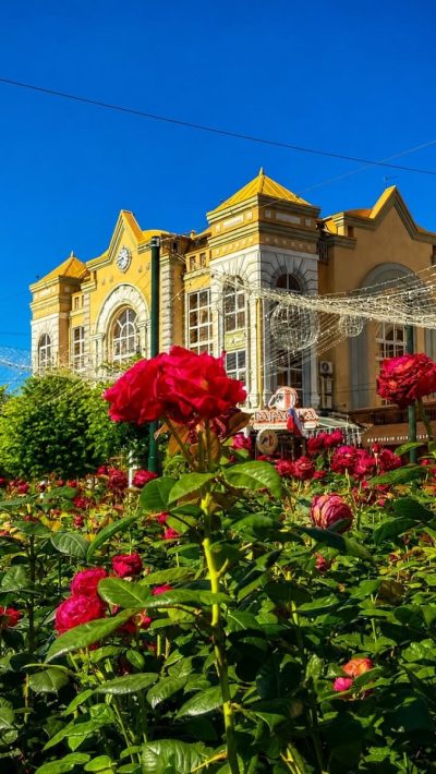 Кисловодский национальный парк в июле — фото погоды (2026-07-14)