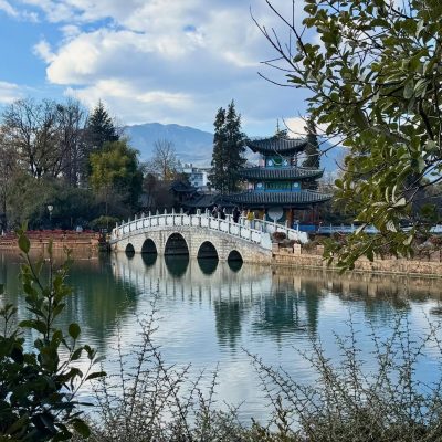 The Black Dragon Park в январе — фото погоды (2026-01-04)