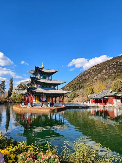 The Black Dragon Park в январе — фото погоды (2026-01-07)