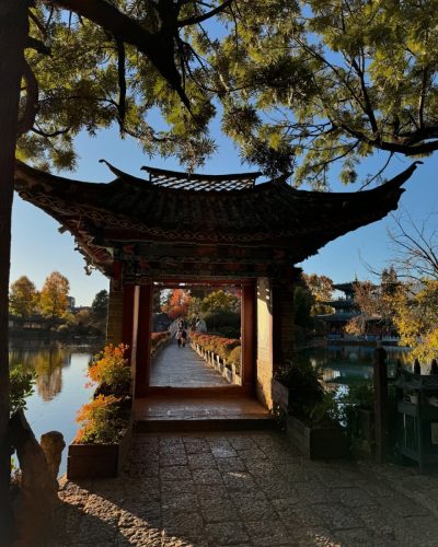 The Black Dragon Park в январе — фото погоды (2026-01-22)