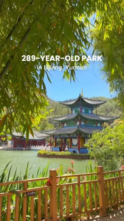 The Black Dragon Park в июне — фото погоды (2026-06-02)