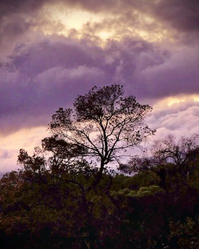 Ngorogoro Crater, Tanzania. в апреле — фото погоды (2026-04-13)