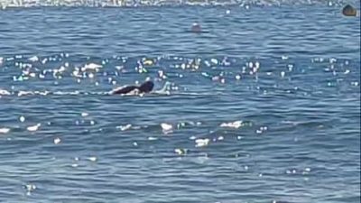 Salou Playa в октябре — фото погоды (2025-10-08)