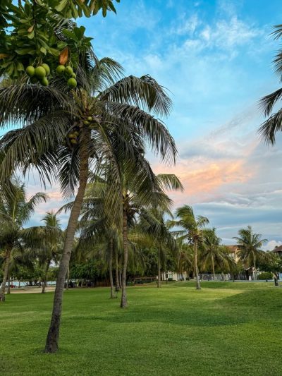Pasikuda Sri Lanka в июне — фото погоды (2026-06-18)