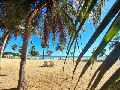 Pasikuda Sri Lanka в июне — фото погоды (2026-06-25)