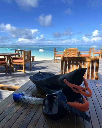 Dolphins Watch In Maldives в ноябре — фото погоды (2024-11-10)
