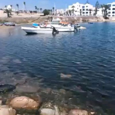 Монастир в августе — фото погоды (2025-08-05)