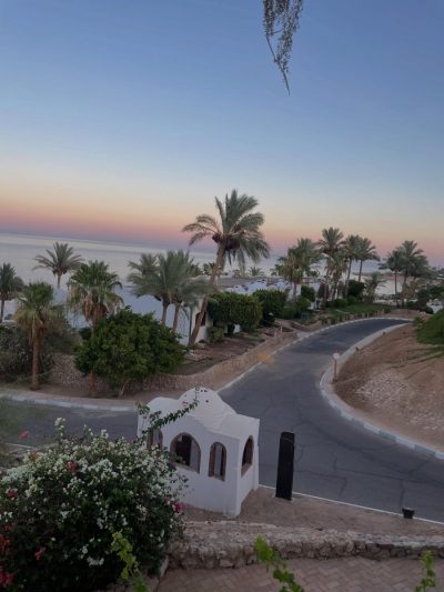 Domina Coral Bay Hotel, Resort, Spa & Casino - Sharm El Sheikh — фото погоды в июле (2026-07-06)