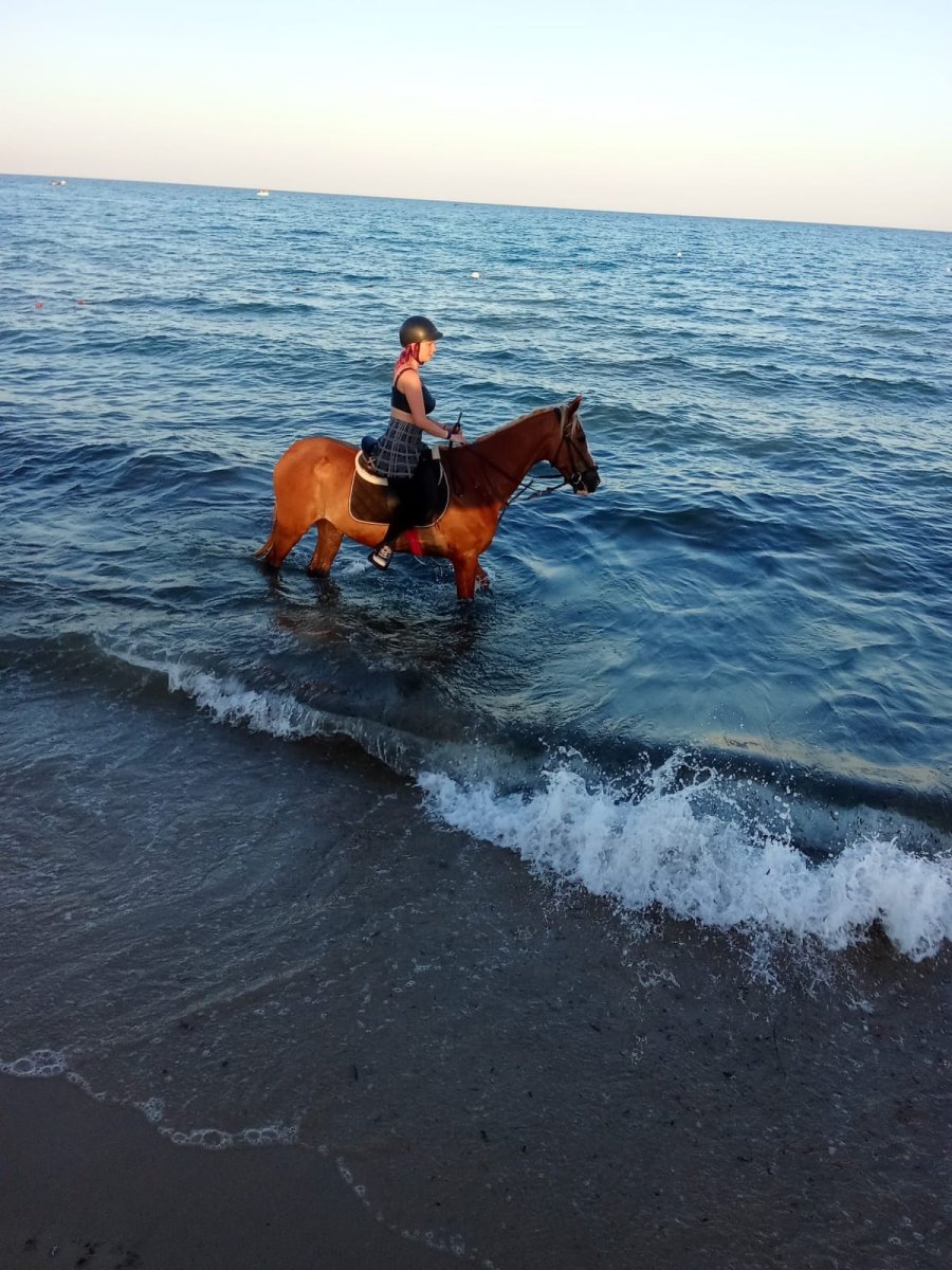 Погода в Samira Club Hammamet