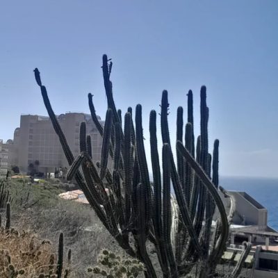 Faro de Punta Ballena в феврале — фото погоды (2026-02-22)
