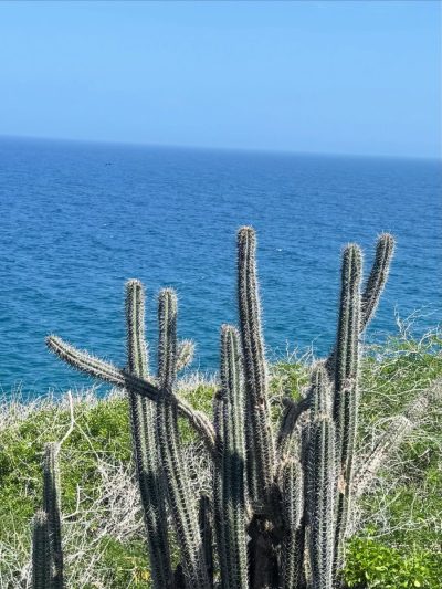 Faro de Punta Ballena в июне — фото погоды (2026-06-23)