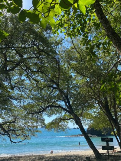 Manuel Antonio National Park, Costa Rica в январе — фото погоды (2026-01-31)