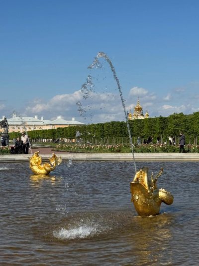 Peterhof Palace Russia — фото погоды в мае (2026-05-25)