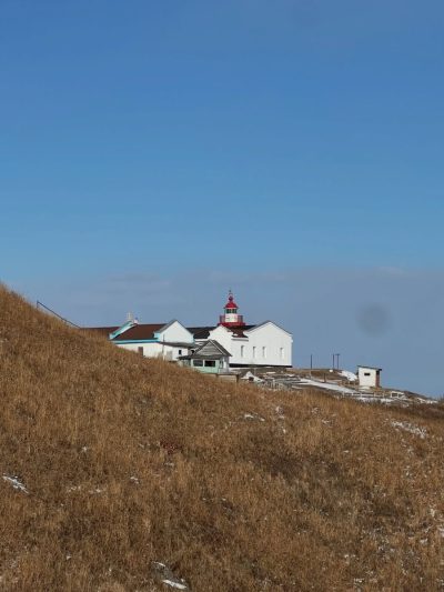 мыс Брюса в январе — фото погоды (2026-01-25)