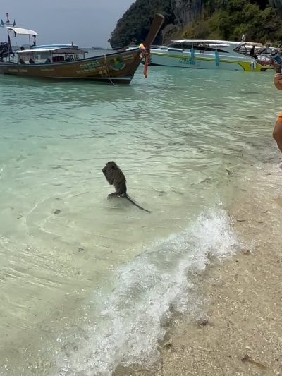 Monkey Beach, Phi Phi Island в апреле — фото погоды (2026-04-28)