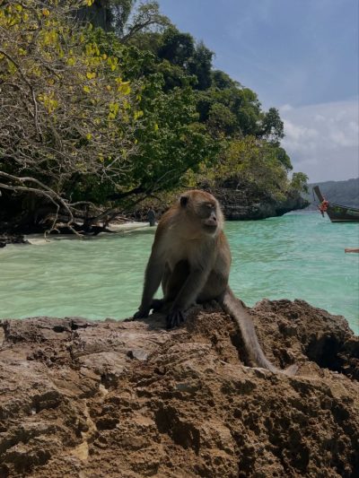 Monkey Beach, Phi Phi Island в мае — фото погоды (2026-05-30)