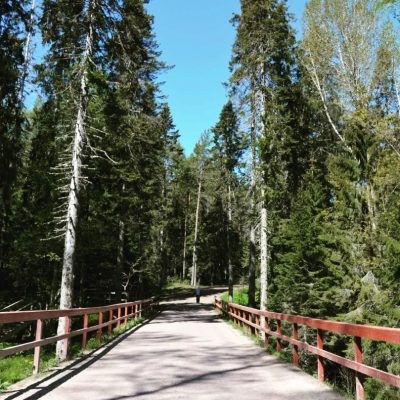 Валаамски острови в июне — фото погоды (2022-06-08)