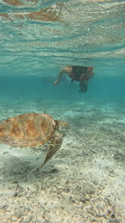 Kandooma Island, Maldives в ноябре — фото погоды (2025-11-28)