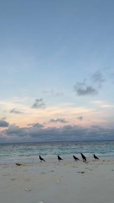 Paradise Island, Maldives в апреле — фото погоды (2024-04-18)