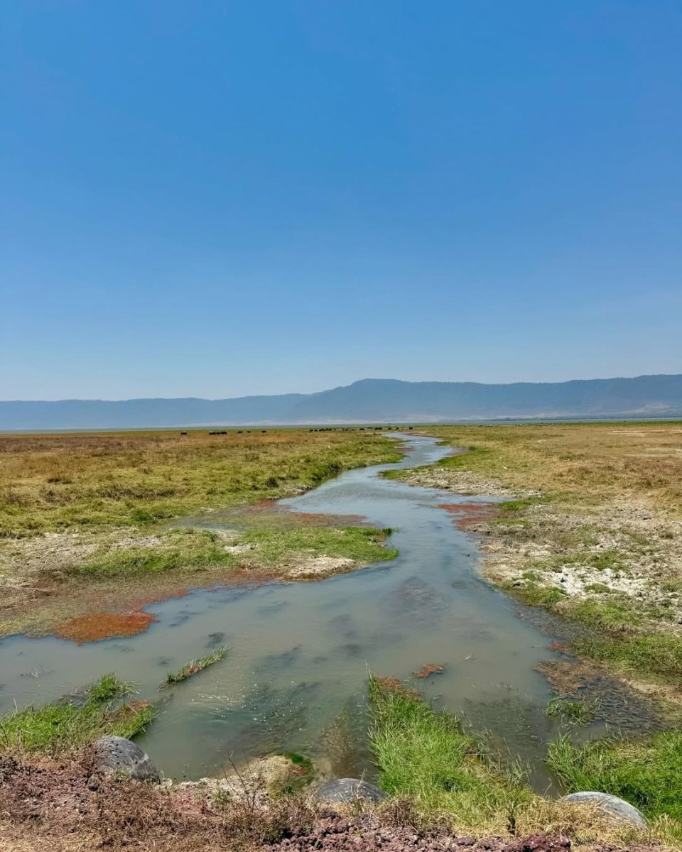 Погода в Аруша
