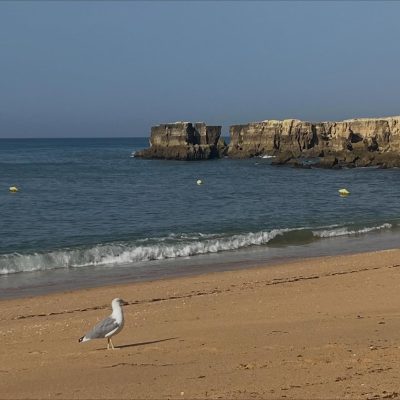 Praia do Castelo в сентябре — фото погоды (2025-09-20)