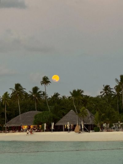 Constance Halaveli Resort, Maldives — фото погоды в январе (2026-01-22)