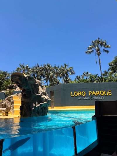 Tenerifa Costa Adeje в июне — фото погоды (2026-06-28)