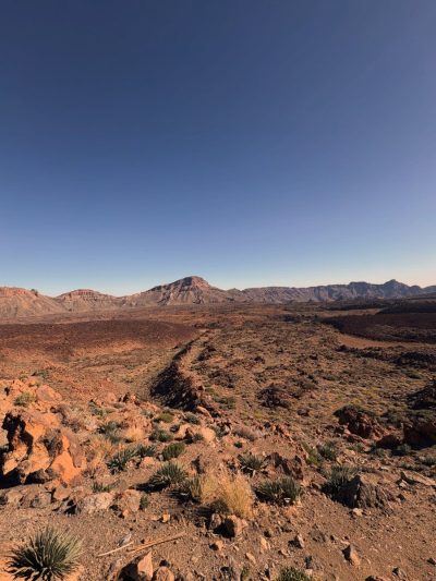 Tenerifa Costa Adeje в июле — фото погоды (2026-07-11)