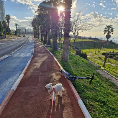 Antalya Lara Fener Yuruyus Yolu в феврале — фото погоды (2026-02-20)