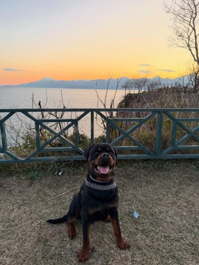 Antalya Lara Fener Yuruyus Yolu в феврале — фото погоды (2026-02-23)