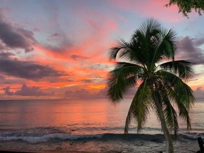 St Lawrence Gap, Barbados. в январе — фото погоды (2026-01-16)