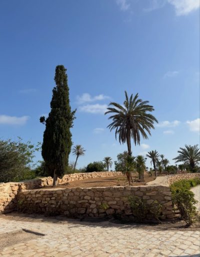 Aghir Djerba в мае — фото погоды (2026-05-16)