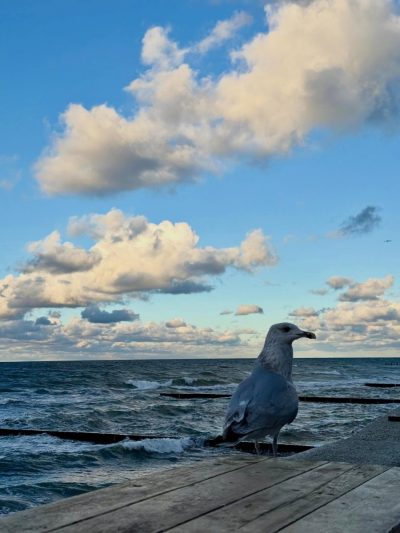 Baltic Sea в октябре — фото погоды (2025-10-19)