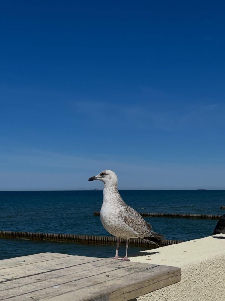Погода в Baltic Sea