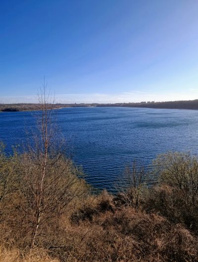 Озеро Синявино в апреле — фото погоды (2026-04-13)