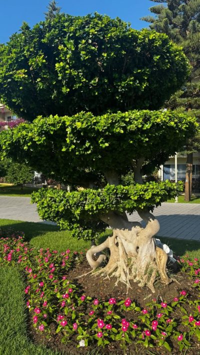 Pine Beach Belek в июле — фото погоды (2026-07-14)